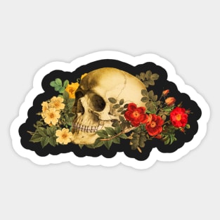 skull & roses Sticker